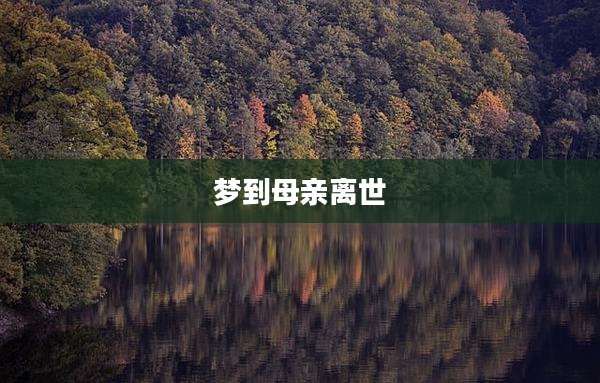 梦到母亲离世