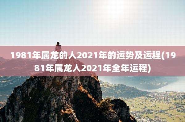 1981年属龙的人2021年的运势及运程(1981年属龙人2021年全年运程)