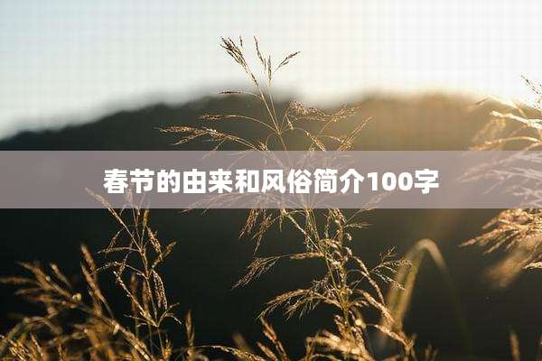 春节的由来和风俗简介100字