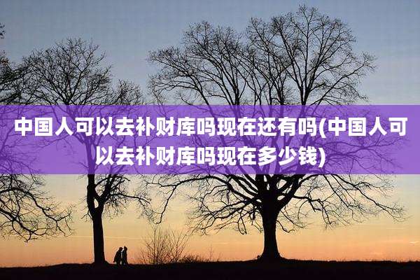 中国人可以去补财库吗现在还有吗(中国人可以去补财库吗现在多少钱)