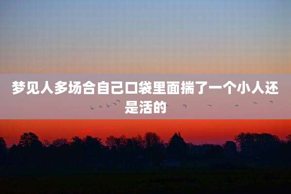 梦见人多场合自己口袋里面揣了一个小人还是活的