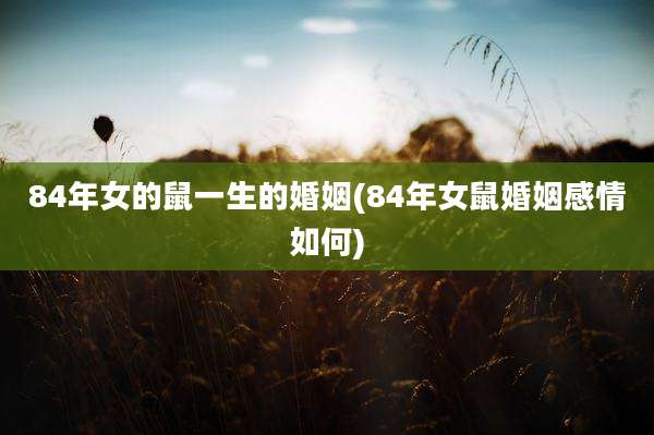84年女的鼠一生的婚姻(84年女鼠婚姻感情如何)