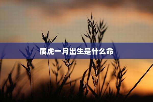 属虎一月出生是什么命