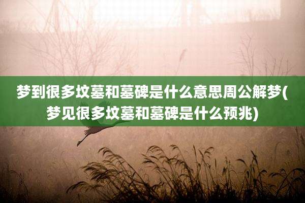 梦到很多坟墓和墓碑是什么意思周公解梦(梦见很多坟墓和墓碑是什么预兆)