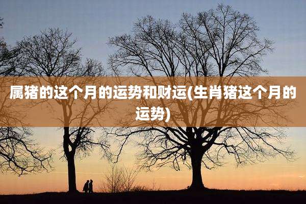 属猪的这个月的运势和财运(生肖猪这个月的运势)