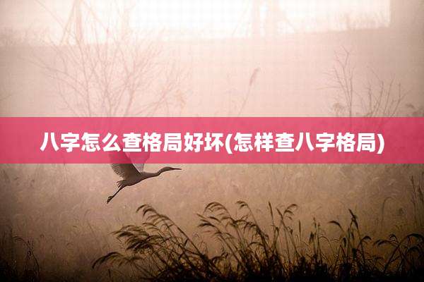 八字怎么查格局好坏(怎样查八字格局)