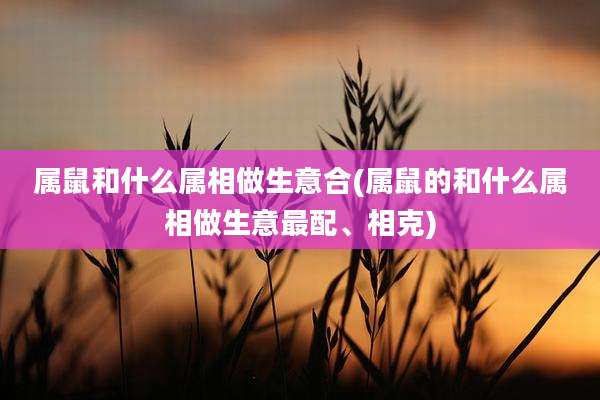 属鼠和什么属相做生意合(属鼠的和什么属相做生意最配、相克)