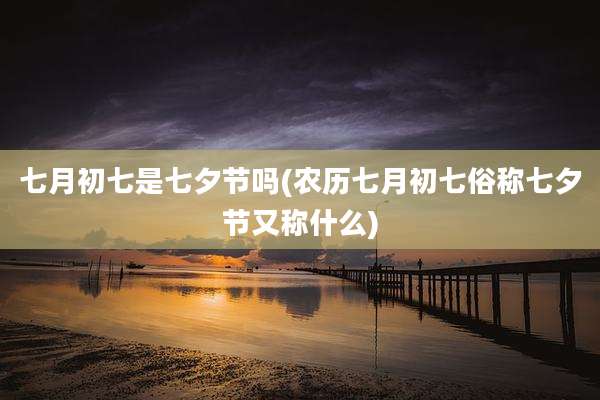 七月初七是七夕节吗(农历七月初七俗称七夕节又称什么)
