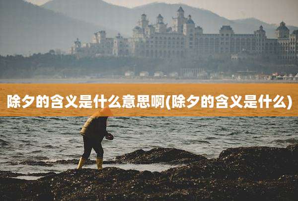 除夕的含义是什么意思啊(除夕的含义是什么)