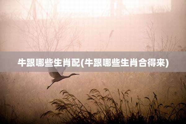 牛跟哪些生肖配(牛跟哪些生肖合得来)