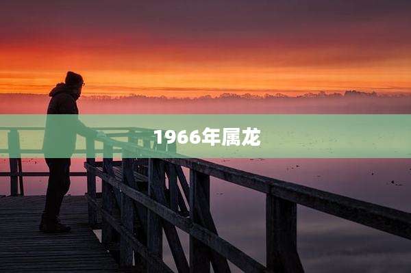 1966年属龙