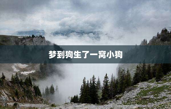梦到狗生了一窝小狗