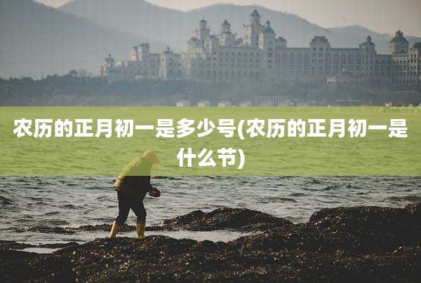 农历的正月初一是多少号(农历的正月初一是什么节)