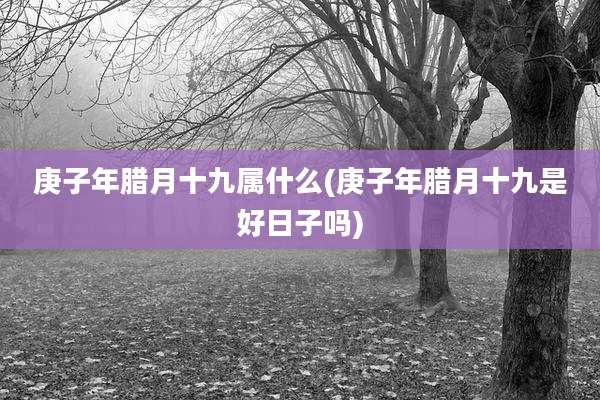 庚子年腊月十九属什么(庚子年腊月十九是好日子吗)