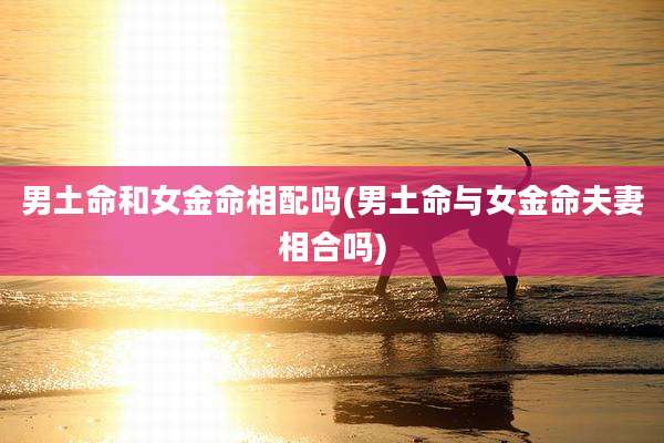 男土命和女金命相配吗(男土命与女金命夫妻相合吗)