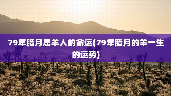 79年腊月属羊人的命运(79年腊月的羊一生的运势)