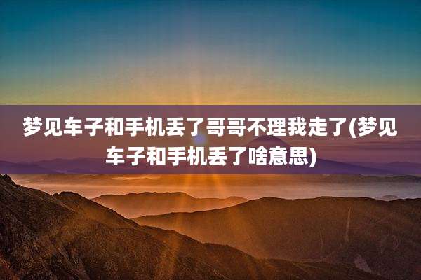 梦见车子和手机丢了哥哥不理我走了(梦见车子和手机丢了啥意思)