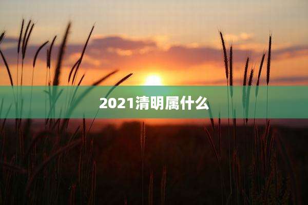 2021清明属什么