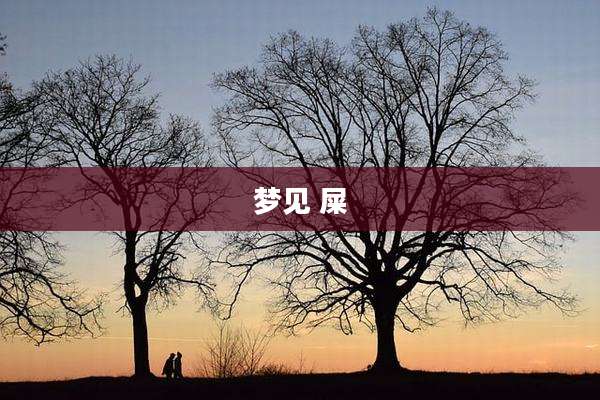 梦见 屎