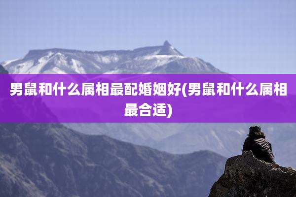 男鼠和什么属相最配婚姻好(男鼠和什么属相最合适)