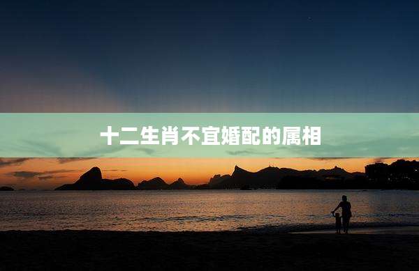 十二生肖不宜婚配的属相