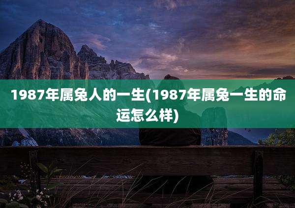 1987年属兔人的一生(1987年属兔一生的命运怎么样)