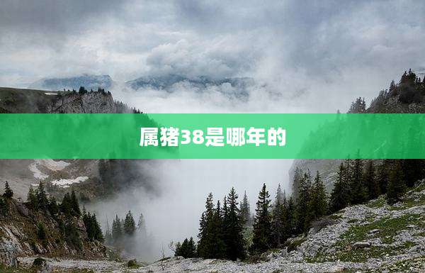 属猪38是哪年的