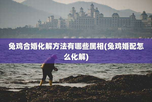 兔鸡合婚化解方法有哪些属相(兔鸡婚配怎么化解)