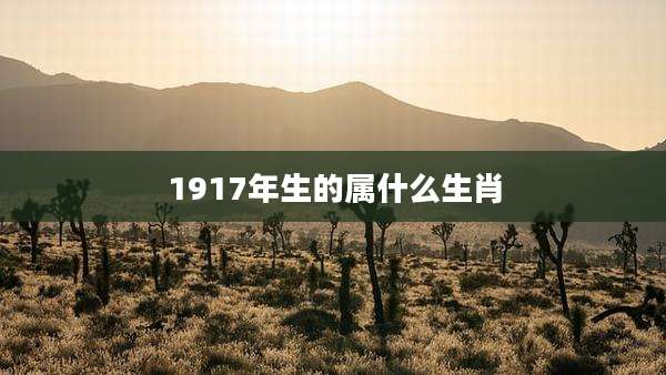 1917年生的属什么生肖