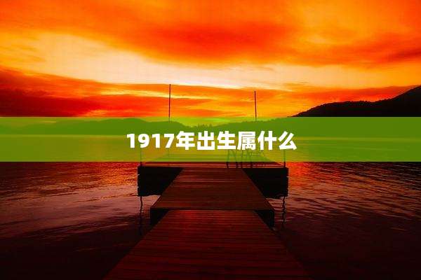 1917年出生属什么