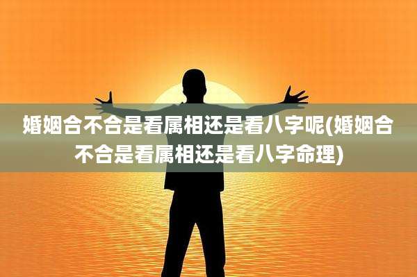 婚姻合不合是看属相还是看八字呢(婚姻合不合是看属相还是看八字命理)
