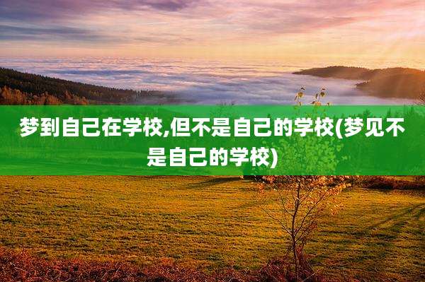 梦到自己在学校,但不是自己的学校(梦见不是自己的学校)