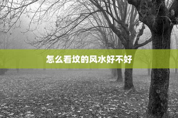 怎么看坟的风水好不好