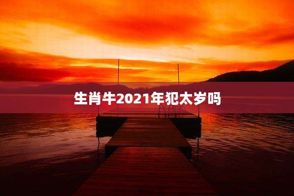 生肖牛2021年犯太岁吗