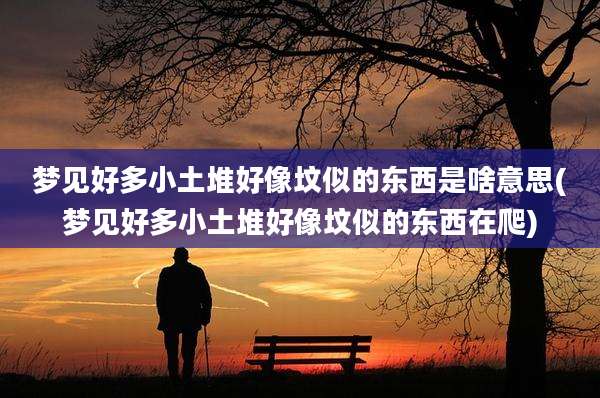 梦见好多小土堆好像坟似的东西是啥意思(梦见好多小土堆好像坟似的东西在爬)