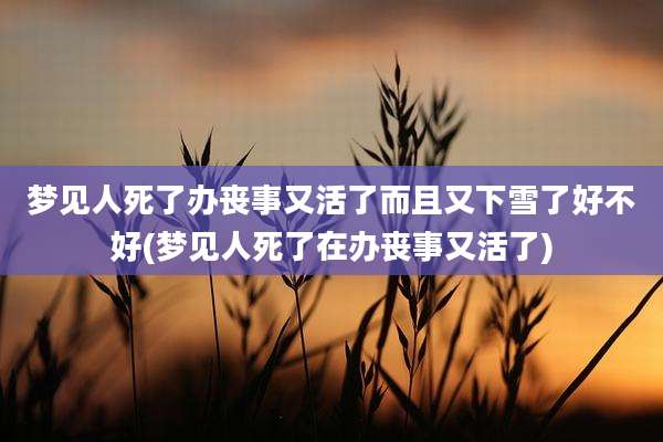 梦见人死了办丧事又活了而且又下雪了好不好(梦见人死了在办丧事又活了)