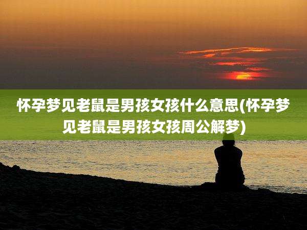 怀孕梦见老鼠是男孩女孩什么意思(怀孕梦见老鼠是男孩女孩周公解梦)