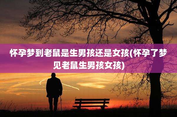 怀孕梦到老鼠是生男孩还是女孩(怀孕了梦见老鼠生男孩女孩)
