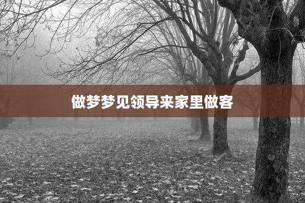 做梦梦见领导来家里做客