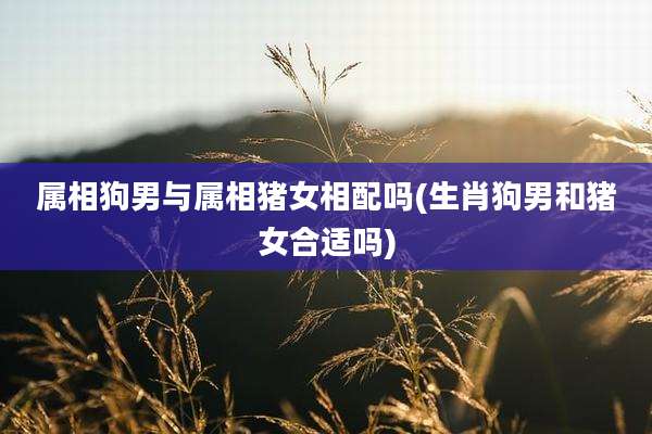 属相狗男与属相猪女相配吗(生肖狗男和猪女合适吗)
