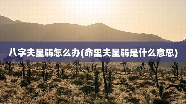 八字夫星弱怎么办(命里夫星弱是什么意思)