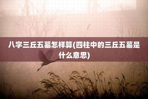 八字三丘五墓怎样算(四柱中的三丘五墓是什么意思)