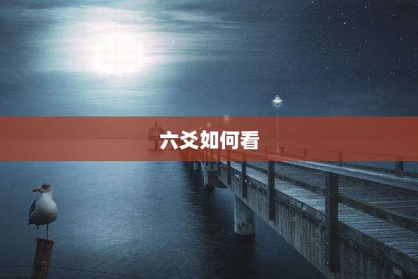 六爻如何看