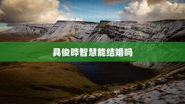 具俊晔智慧能结婚吗