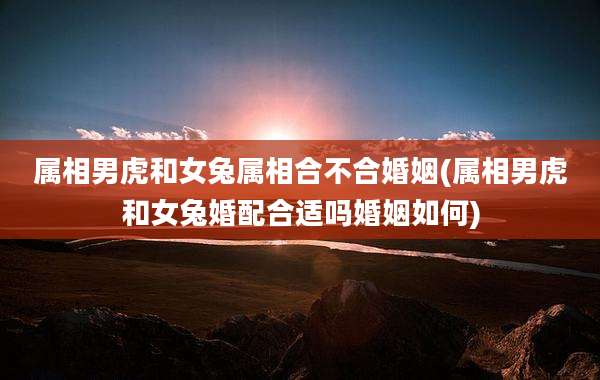 属相男虎和女兔属相合不合婚姻(属相男虎和女兔婚配合适吗婚姻如何)