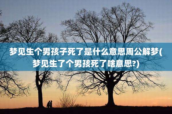 梦见生个男孩子死了是什么意思周公解梦(梦见生了个男孩死了啥意思?)