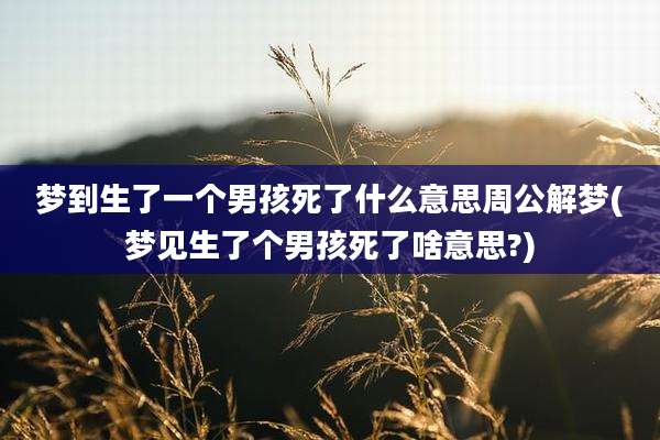 梦到生了一个男孩死了什么意思周公解梦(梦见生了个男孩死了啥意思?)