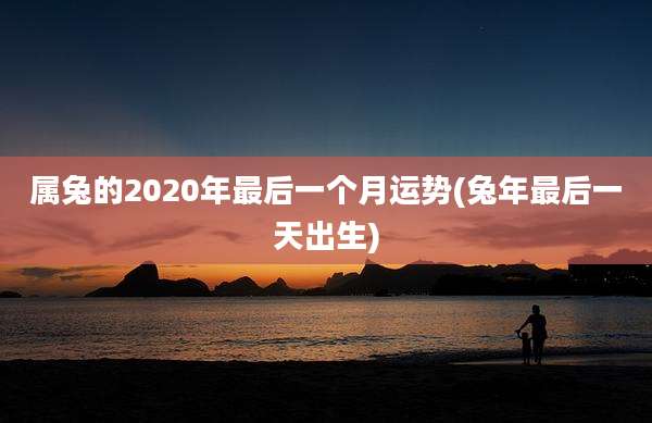 属兔的2020年最后一个月运势(兔年最后一天出生)