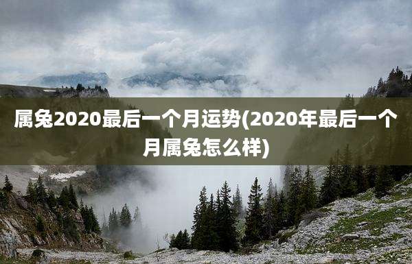 属兔2020最后一个月运势(2020年最后一个月属兔怎么样)
