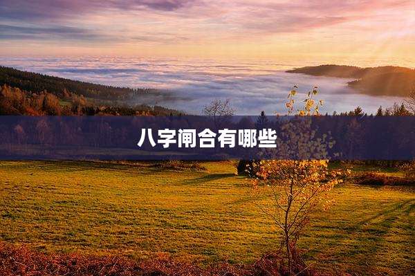 八字闸合有哪些